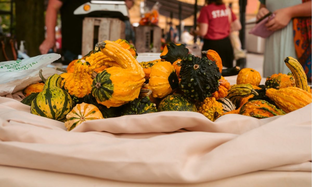 Downtown Fort Wayne's 2026 Fall Festivities Guide