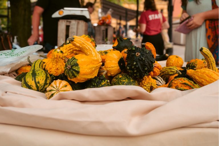 Downtown Fort Wayne's 2026 Fall Festivities Guide
